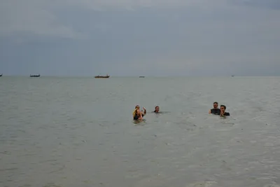 DSC_5433 (Large).JPG